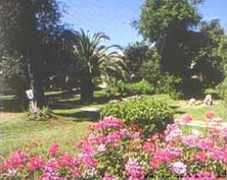 ���� ����� Delfinia Hotel 4*