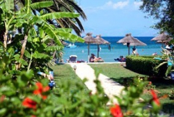 ���� ����� Delfinia Hotel 4*