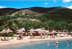 ���� ����� Delfinia Hotel 4*