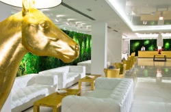 ���� ����� Diamond Hotel SPA  Convention Centre 5*
