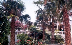 ���� ����� Cosmopolitan Hotel Kos 3*