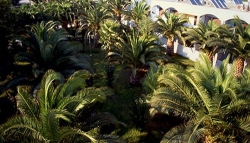 ���� ����� Tropical Sol Hotel 3*