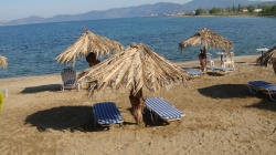 ���� ����� Venus Beach 3*