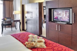 ���� ����� The Palace 5*