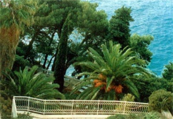 ���� ����� Grand Villa Argentina 5*