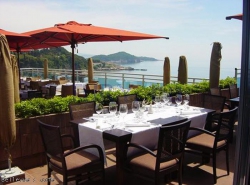���� ����� Bellevue 5*