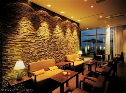 ���� ����� Bellevue 5*