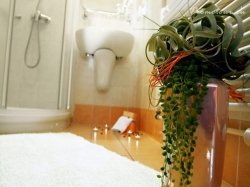 ���� ����� Dependance Villa Lovorka 3*
