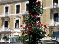 ���� ����� Opatija 2*