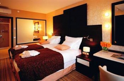 ���� ����� The View 5*