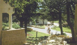 ���� ����� Villa Ariston 3*