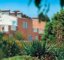 ���� ����� Amarin 4*