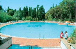 ���� ����� Eden 4*