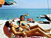 ���� ����� Mimoza 3*