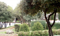 ���� ����� Valamar Club Tamaris 4*