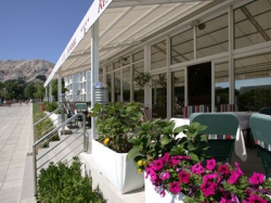 ���� ����� Zvonimir 3*
