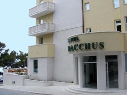���� ����� Bacchus 4*