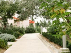 ���� ����� Bluesun Afrodita Tourist Resort 4*