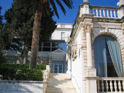 ���� ����� Palace 3*
