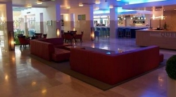 ���� ����� Quercus 4*