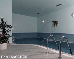 ���� ����� Villa Bacchus 4*