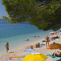 ���� ����� Villa Bacchus 4*