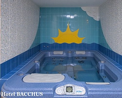 ���� ����� Villa Bacchus 4*