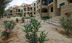 ���� ����� Zaton Holiday Village 4*