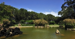 ���� ����� Pestana Delfim 4*