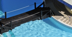 ���� ����� Pestana Delfim 4*