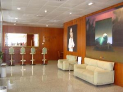���� ����� VIP Executive Madrid 4*