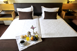 ���� ����� Inca 4*