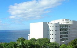 ���� ����� Melia Madeira 5*