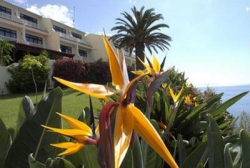 ���� ����� Alpino Atlantico 4*