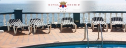 ���� ����� Royal Orchid 4*