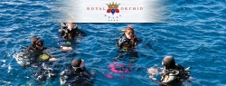 ���� ����� Royal Orchid 4*