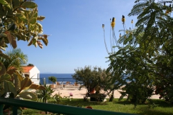 ���� ����� Tropical 4*