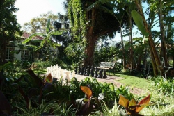 ���� ����� Pestana Village 4 4*