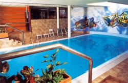 ���� ����� Au Chamois d'Or 4*
