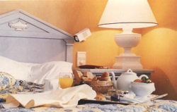 ���� ����� 1835 White Palm Hotel 4*