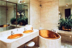 ���� ����� Negresco 4*