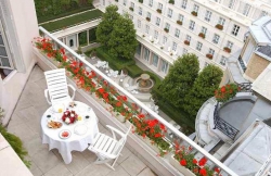 ���� ����� Le Bristol 5*