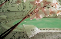 ���� ����� Le Meurice 5*