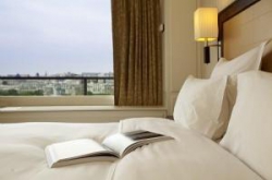 ���� ����� Pullman Tour Eiffel 4*