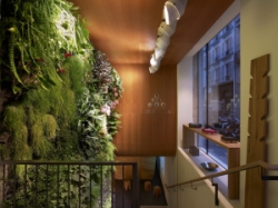 ���� ����� The Westin Paris 4*