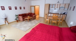 ���� ����� Apartma Vitkov 3*