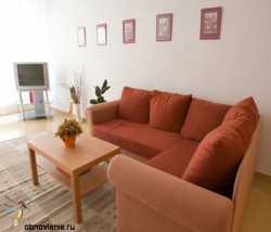 ���� ����� Apartma Vitkov 3*