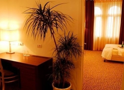 ���� ����� Assenzio 4*