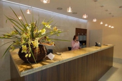 ���� ����� Iris Congress 4*