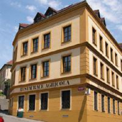 ���� ����� Jerome Agricola 3*